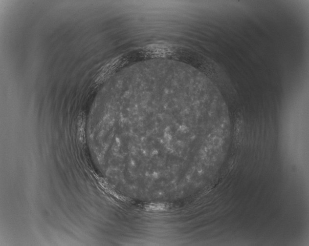 X0000085080177200703261308