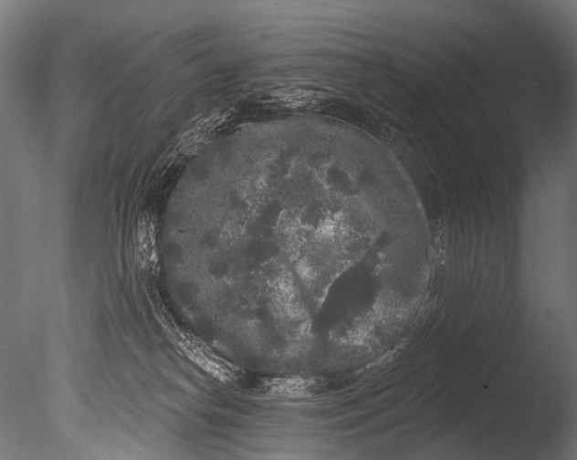 X0000085080182200703261308