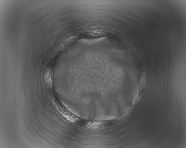 X0000085080186200703261308