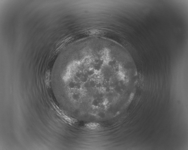 X0000085080189200703261308