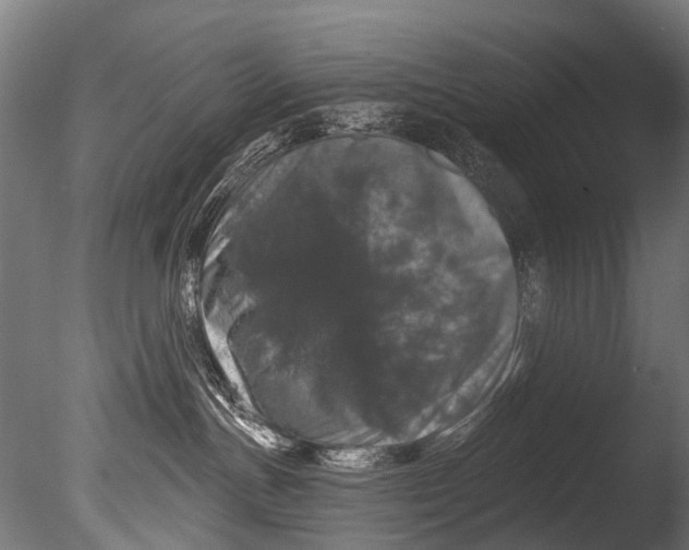 X0000085080191200703261308