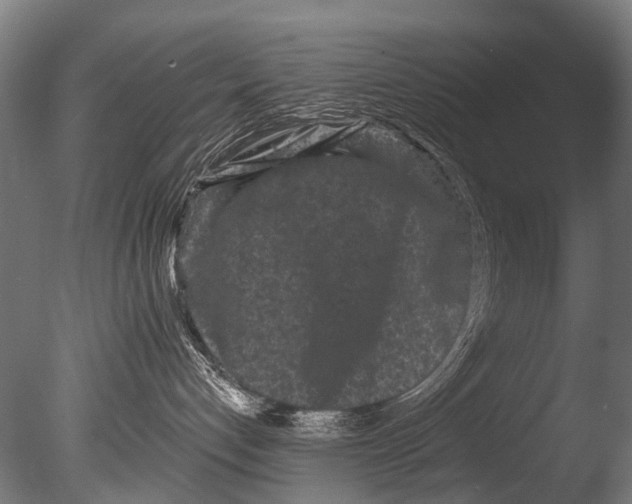 X0000085080192200703261308