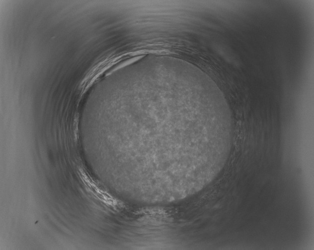 X0000085080194200703261307