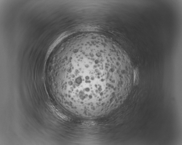 X0000085080195200703261307