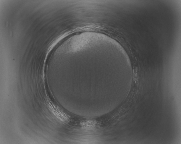 X0000085080196200703261307