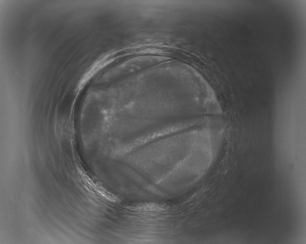 X0000085080198200703261307