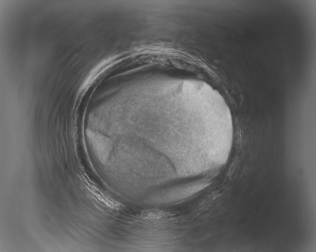 X0000085080199200703261307