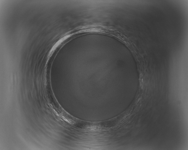 X0000085080200200703261307