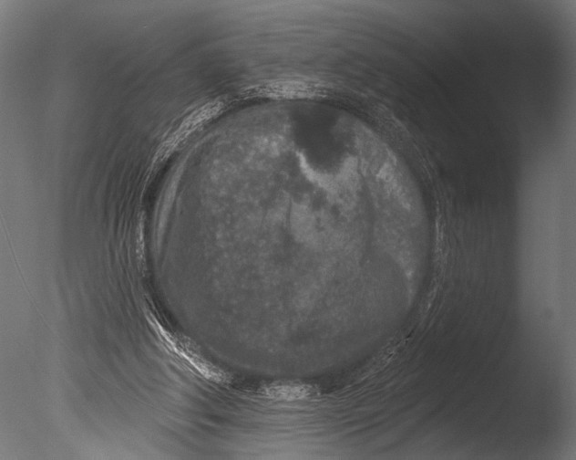 X0000085080202200703261307