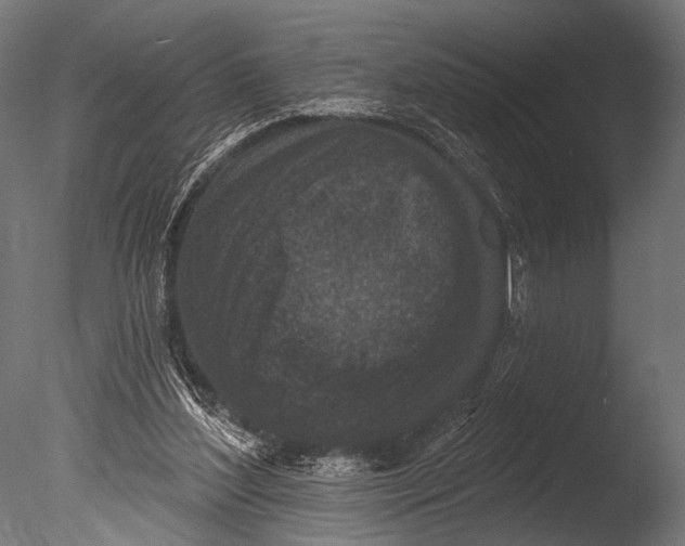 X0000085080204200703261307