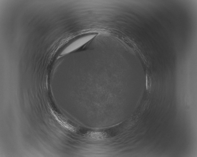 X0000085080205200703261307