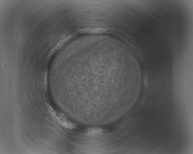 X0000085080206200703261307