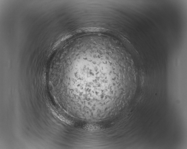 X0000085080207200703261307