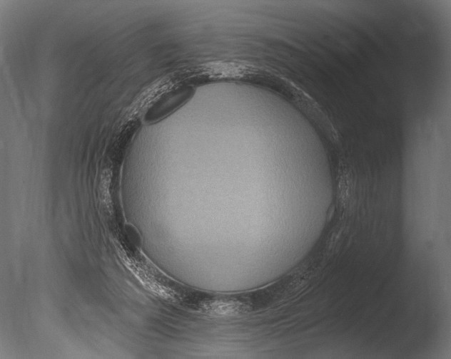 X0000085080209200703261307