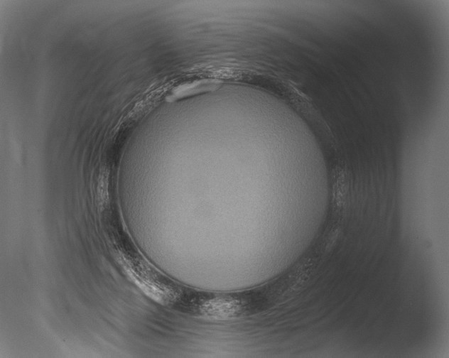 X0000085080213200703261307