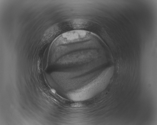 X0000085080219200703261307