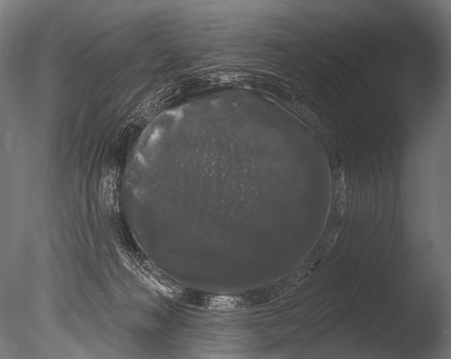 X0000085080222200703261307