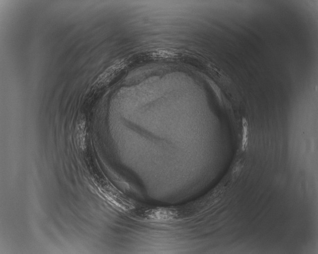 X0000085080223200703261307