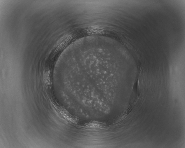 X0000085080224200703261307