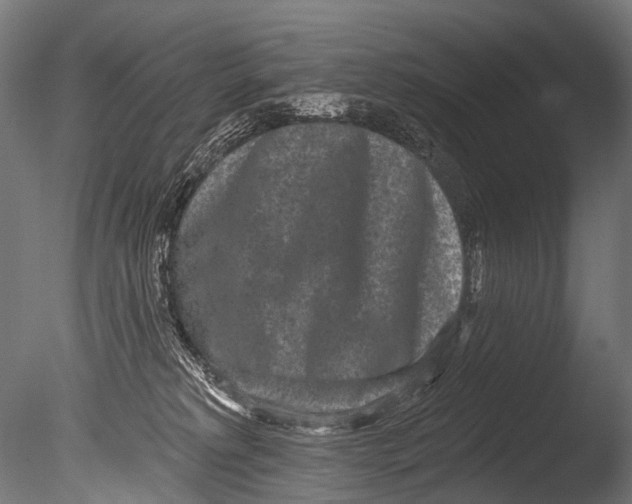 X0000085080229200703261307