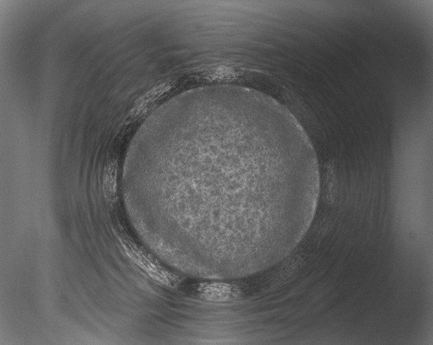 X0000085080230200703261306