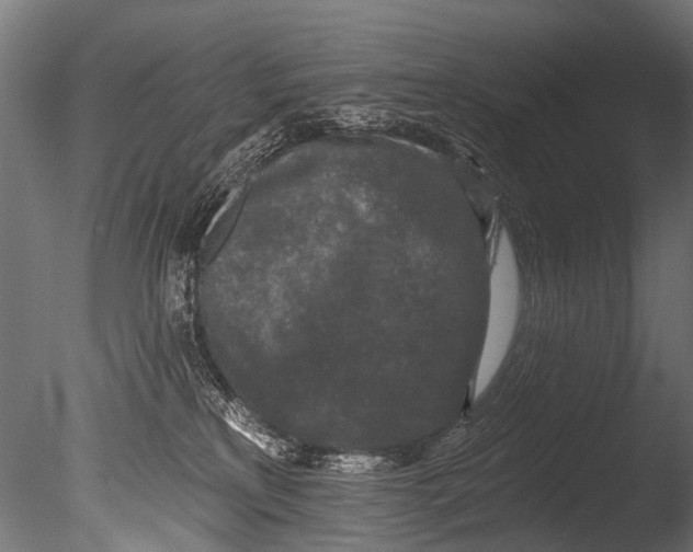 X0000085080233200703261306