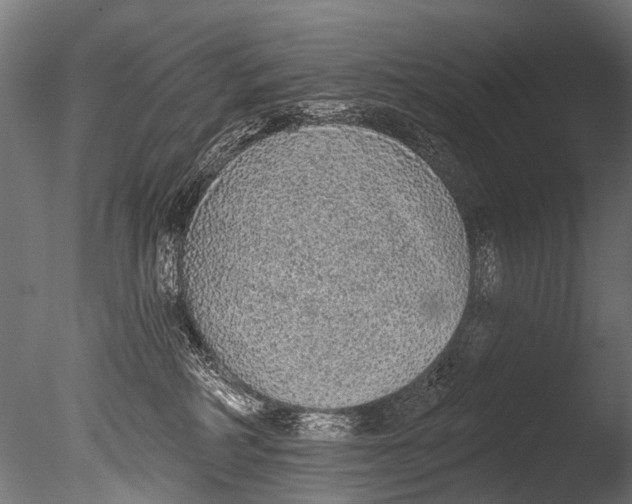 X0000085080234200703261306