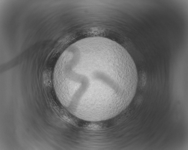 X0000085080236200703261306