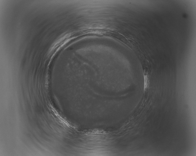 X0000085080243200703261306