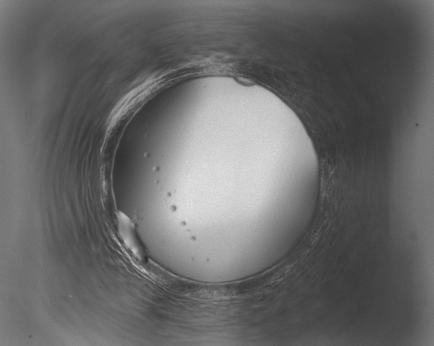 X0000085080245200703261306