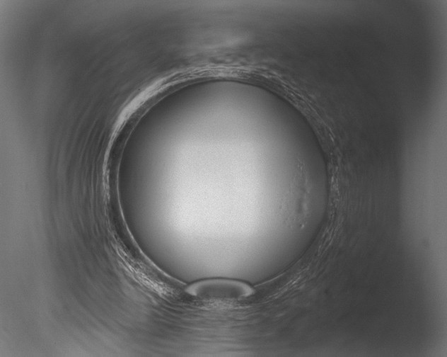 X0000085080246200703261306