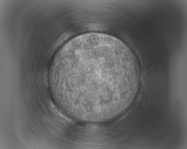 X0000085080249200703261306