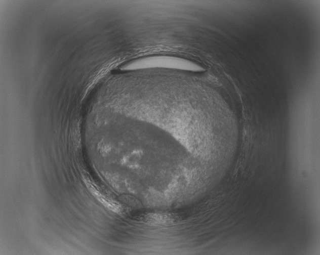 X0000085080250200703261306