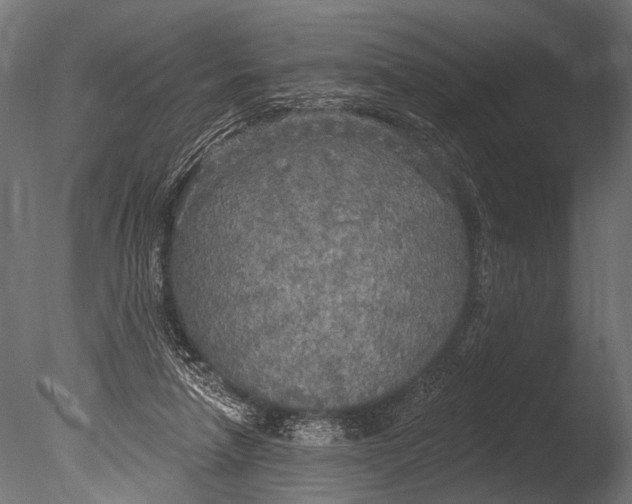 X0000085080258200703261306