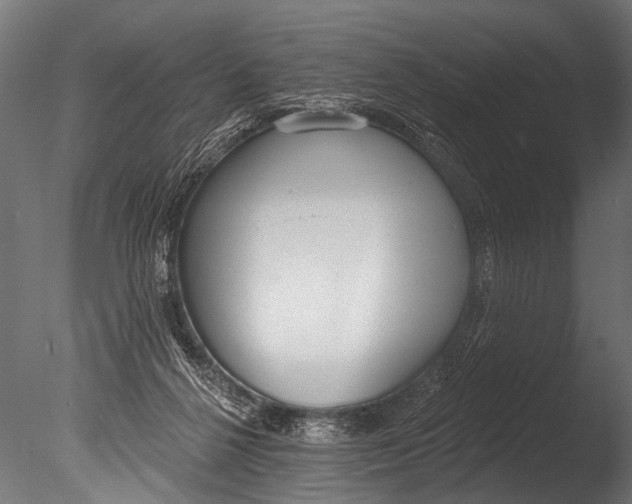 X0000085080264200703261306