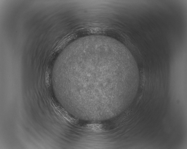 X0000085080266200703261306