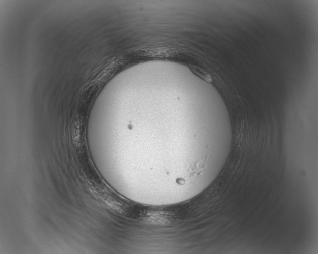 X0000085080268200703261306