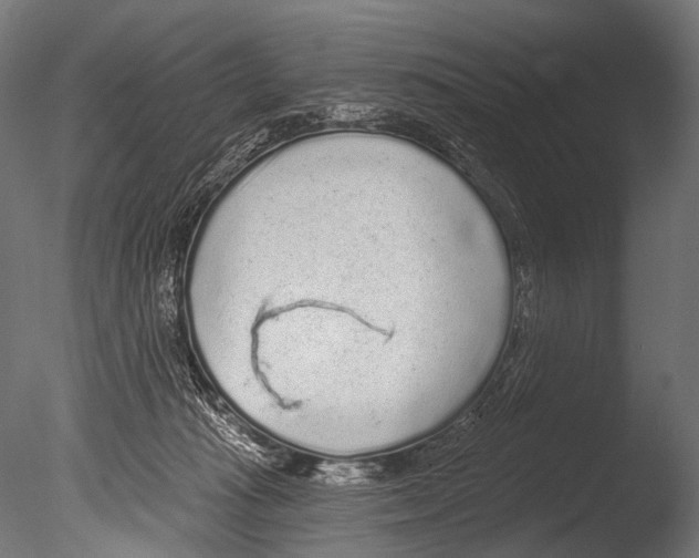 X0000085080269200703261306