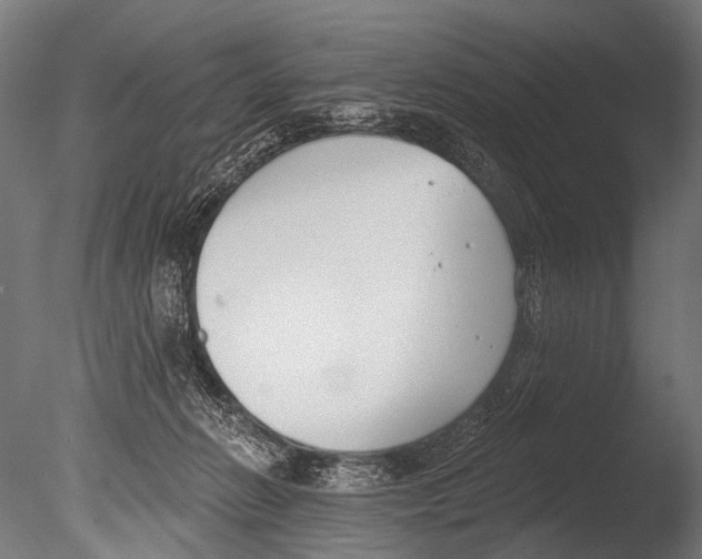 X0000085080270200703261306