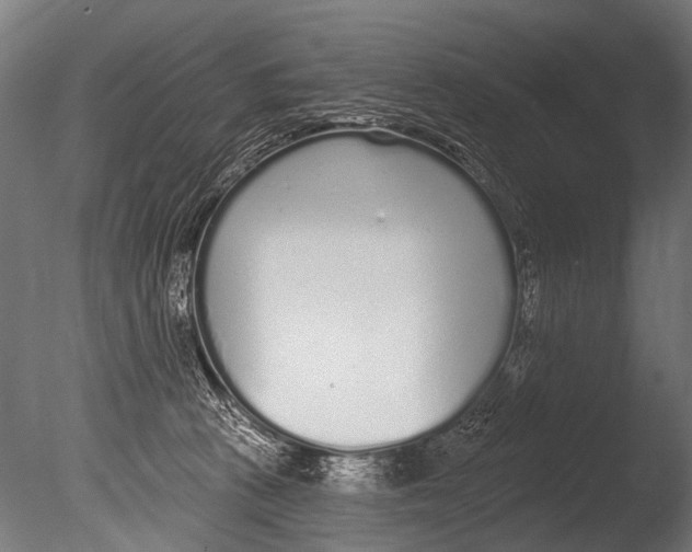 X0000085080273200703261306