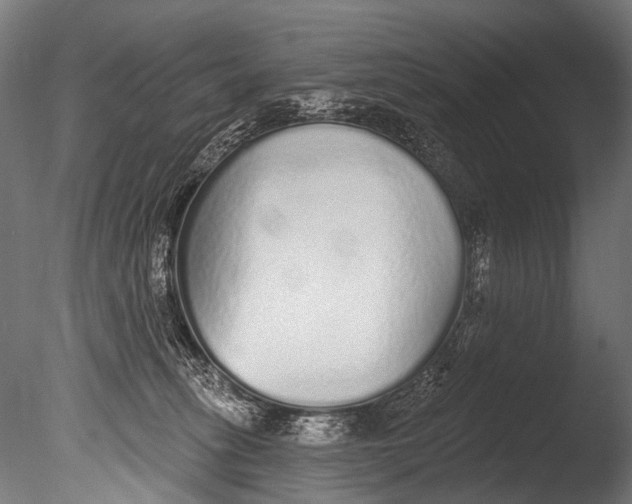 X0000085080275200703261306