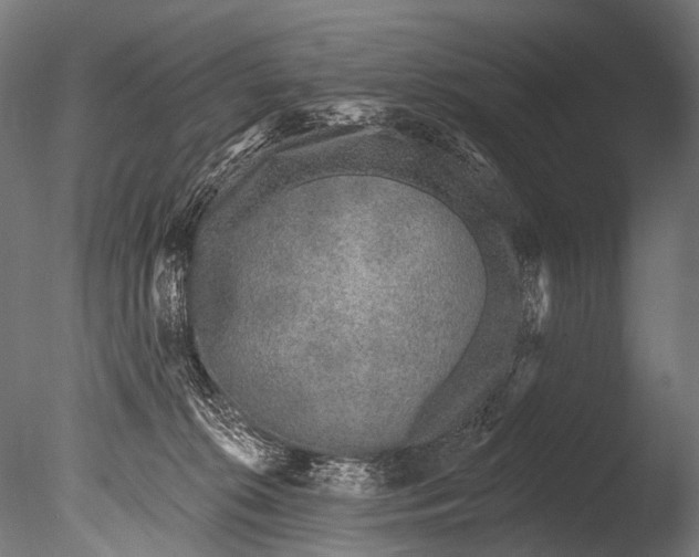 X0000085080276200703261306