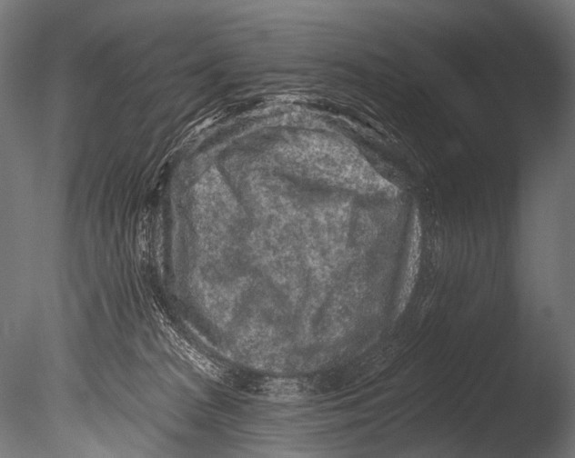 X0000085080277200703261306