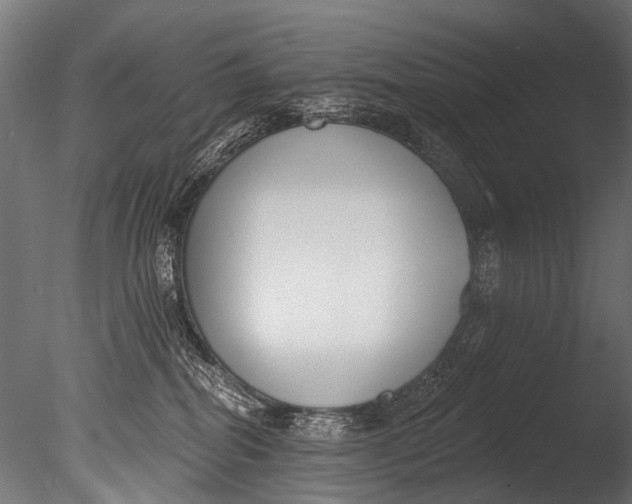 X0000085080282200703261306