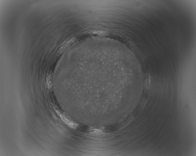 X0000085080285200703261306