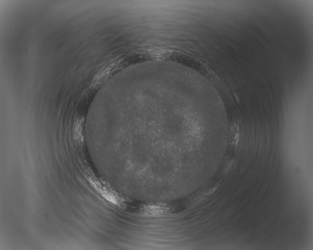 X0000085080286200703261306