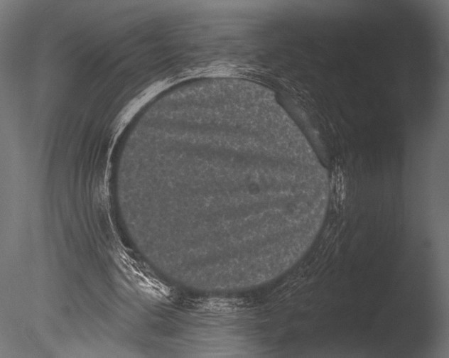 X0000085080292200703261305