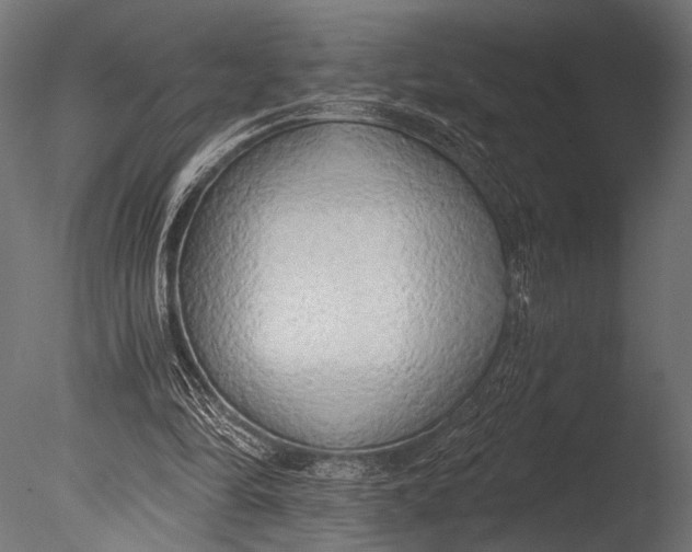 X0000085080294200703261305