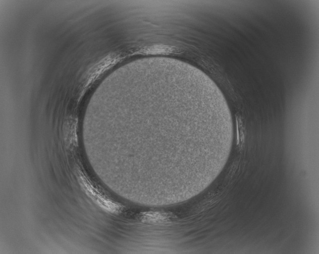 X0000085080300200703261305