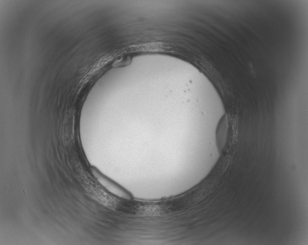 X0000085080301200703261305